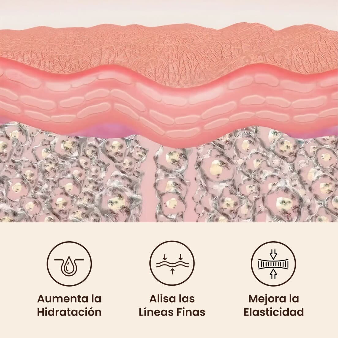GloraMD image