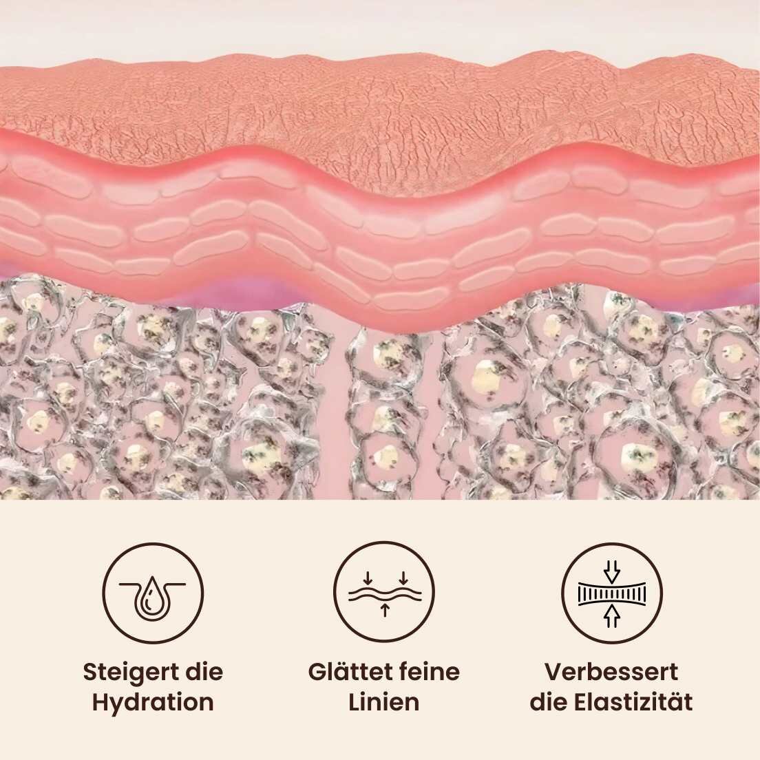 GloraMD image